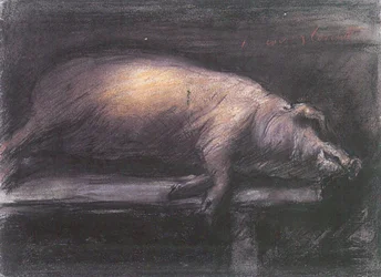 Cerdo sacrificado